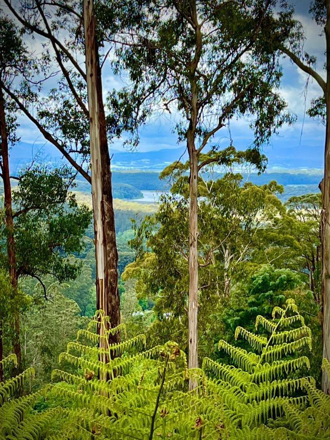 Melbourne Topview Villa In Dandenong Ranges Near Skyhigh Kalorama Ngoại thất bức ảnh