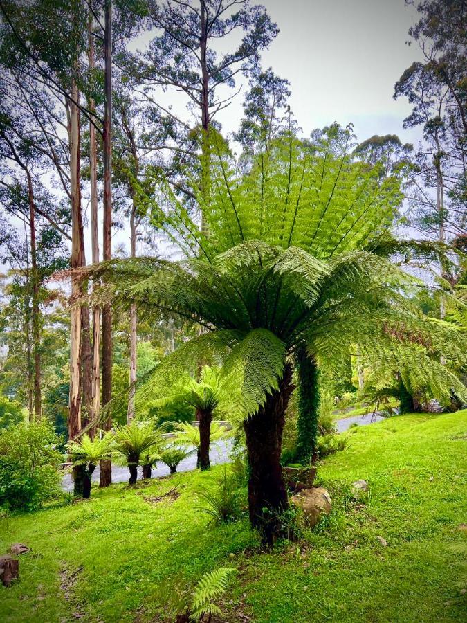 Melbourne Topview Villa In Dandenong Ranges Near Skyhigh Kalorama Ngoại thất bức ảnh