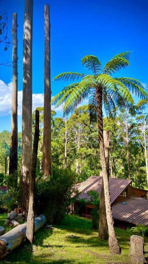 Melbourne Topview Villa In Dandenong Ranges Near Skyhigh Kalorama Ngoại thất bức ảnh